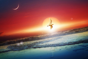 冠军选手也躲不过“社死”场面，原来私下这么皮！