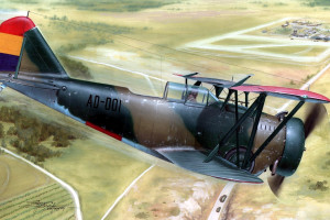 汗水与泪水交织，温网男单冠军之路，每一步都惊心动魄！